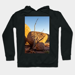 Tree and boulder. Hoodie